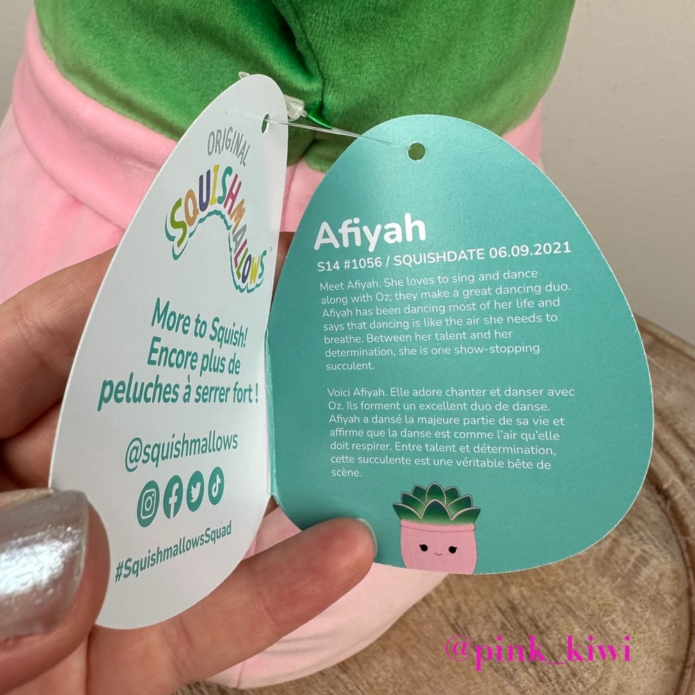 Squishmallows 14” Afiyah the Succulent - Picture 11 of 16